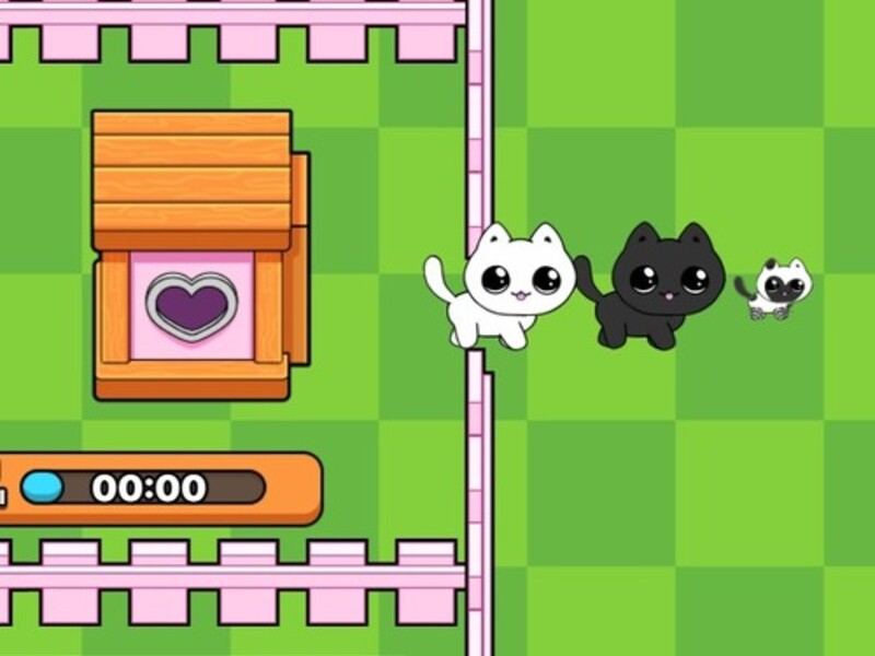 게임 내 고양이. Catworld 온라인